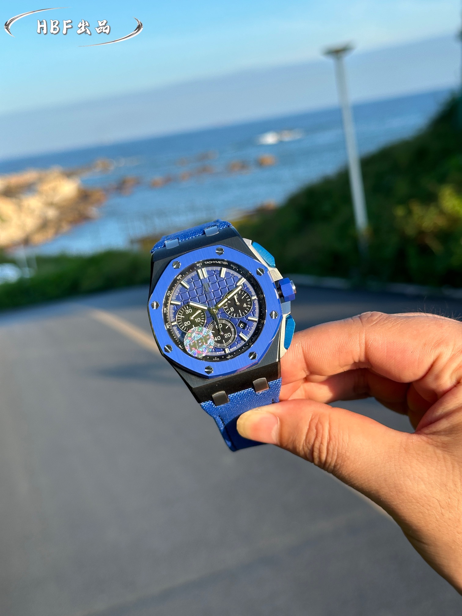 Audemars Piguet watch